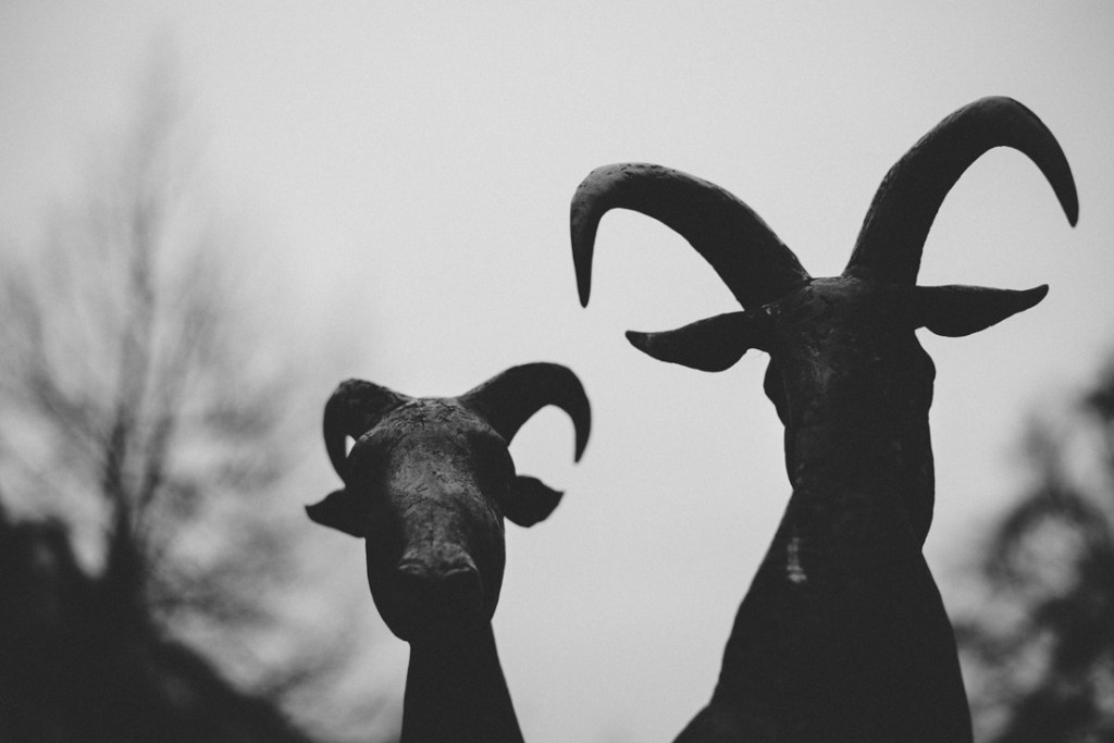 🇮🇹 Infernal Goat – Capra Omnia&nbsp;Vincit